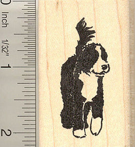 Portuguese Water Dog Rubber Stamp