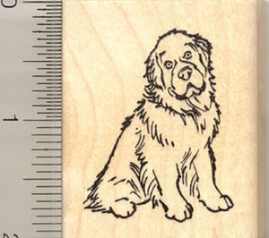 Newfoundland Dog Rubber Stamp