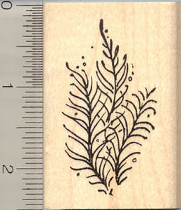 Sea Weed Rubber Stamp