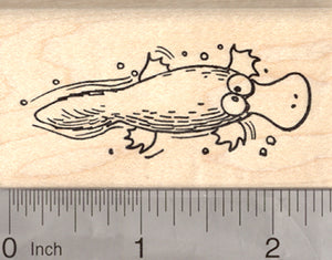 Funny Platypus Rubber Stamp