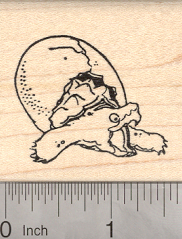 Baby Snapping Turtle Hatching Rubber Stamp