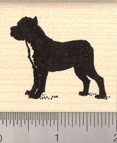 Cane Corso Dog Rubber Stamp