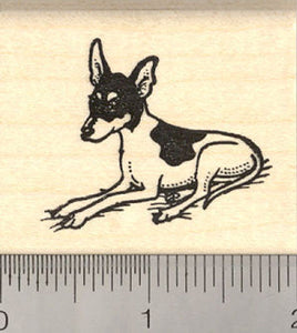 Toy Fox Terrier Dog Rubber Stamp