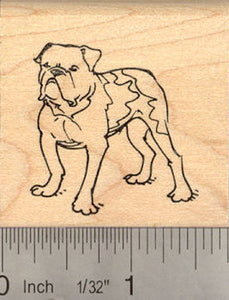 Olde English Bulldogge Rubber Stamp