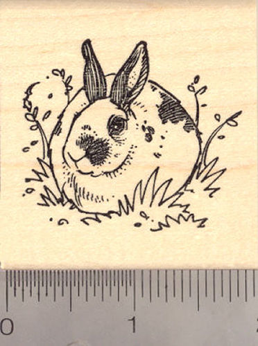 Spotted Domestic Rabbit Rubber Stamp