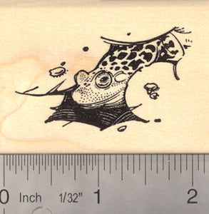 Frog in Pond Rubber Stamp