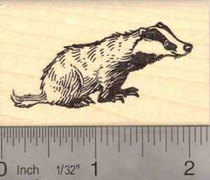 European Badger Rubber Stamp