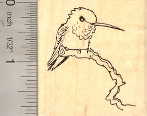 Hummingbird Perched Rubber Stamp