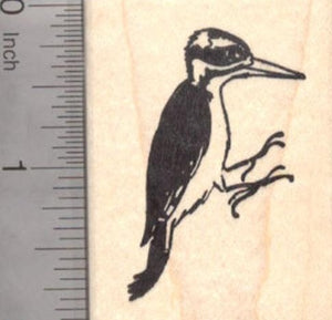 Hairy WoodPecker Rubber Stamp