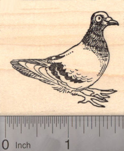 Pigeon Bird Rubber Stamp, Feral Rock Pigeons or City Doves