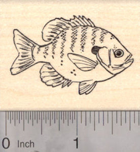 Bluegill Rubber Stamp, Freshwater Fish, AKA Bream, Brim, Copper Nose