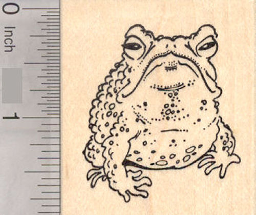 Toad Rubber Stamp