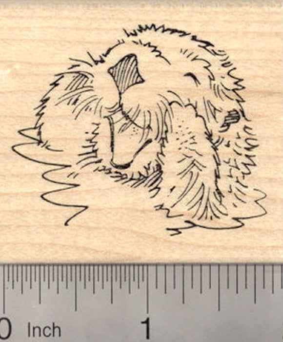 Playful Sea Otter Rubber Stamp, In Water, Talking