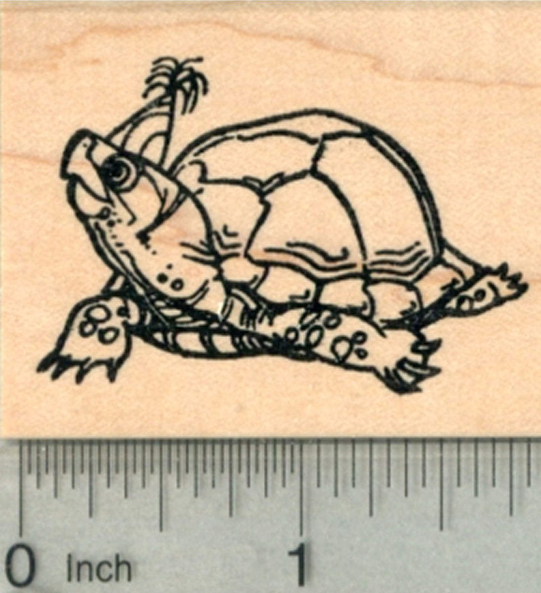 Birthday Tortoise Rubber Stamp, Turtle in Party Hat – RubberHedgehog ...