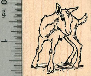 Baby Goat Rubber Stamp, Cute Kid