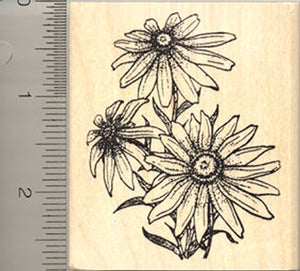 Daisy Rubber Stamp, Floral Cluster of Daisies