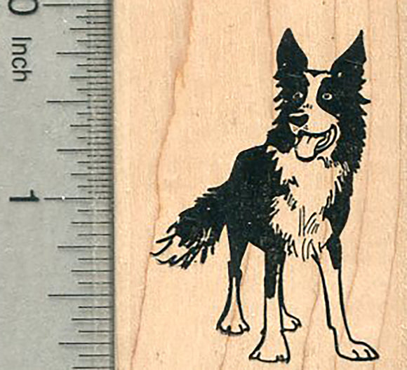 Border Collie Rubber Stamp, Dog Standing