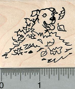 Labrador Retriever Rubber Stamp, Dog in Fall Leaves