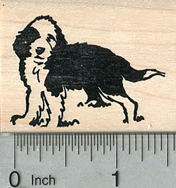 Sheepadoodle Rubber Stamp, Sheep Dog Poodle Cross Breed