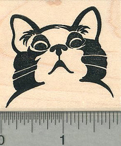 Appalled Cat Rubber Stamp, Disapproving Kitty