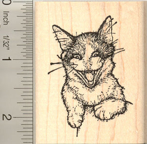 Cattitude (Albert Einstein) Cat Rubber Stamp