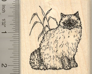 Ragdoll Cat (Cashmere) Rubber Stamp
