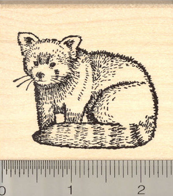 Red Panda Rubber Stamp, Lesser or Red Cat-Bear, Arboreal Mammal of China and the Himalayas