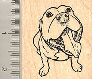 American Staffordshire Terrier Rubber Stamp