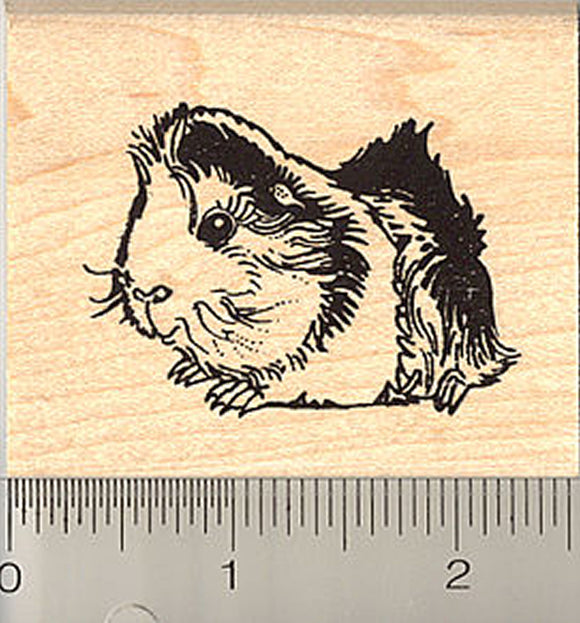 Tricolor Abyssinian Guinea Pig Rubber Stamp