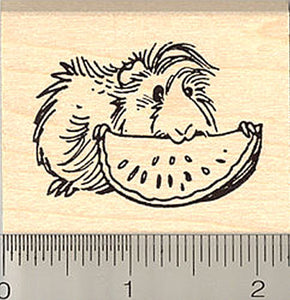Guinea Pig Eating Fruit Rubber Stamp