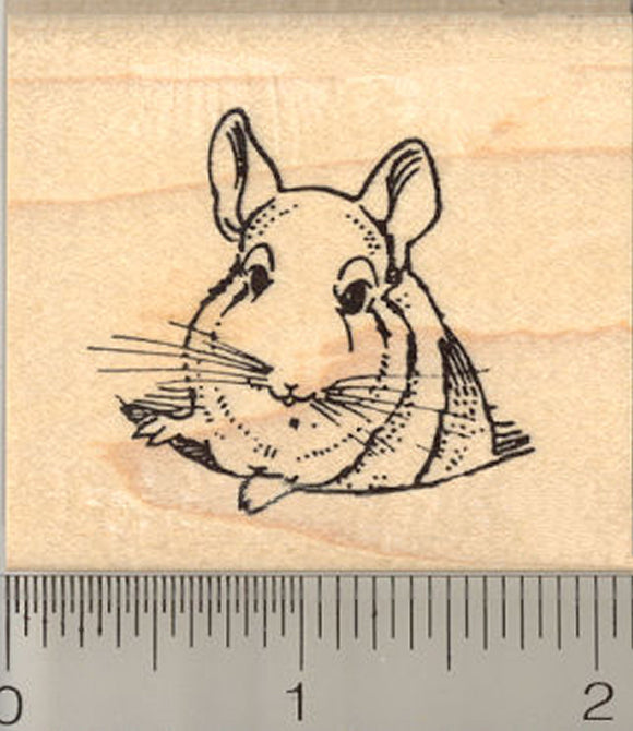 Chinchilla Rubber Stamp