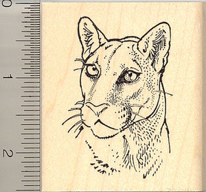 Gorgeous Cougar Portrait Rubber Stamp