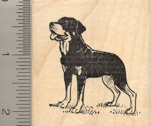 Rottweiler Dog Rubber Stamp