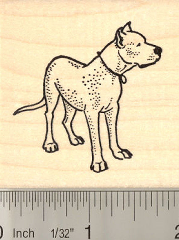 Argentine Dogo Dog Rubber Stamp
