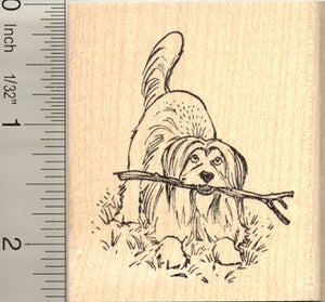 Bearded Collie Dog Rubber Stamp