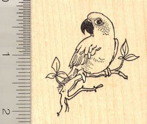 Conure (Parakeet) Rubber Stamp