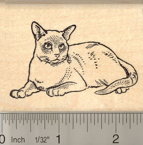 Tonkinese Cat Rubber Stamp
