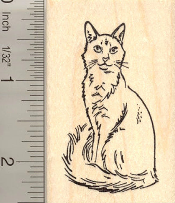 Fluffy Somali Cat Sitting Rubber Stamp
