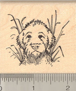 Labradoodle in Tall Grass Rubber Stamp