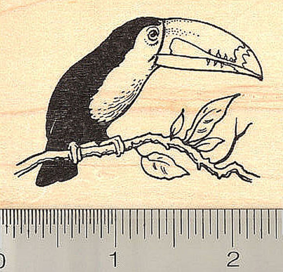 Toucan Rubber Stamp