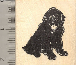 Newfoundland Dog Rubber Stamp