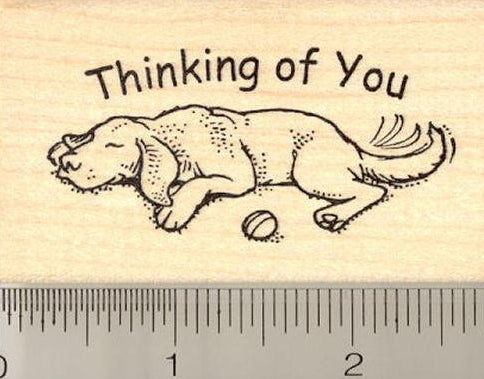 Thinking of You Dog Rubber Stamp