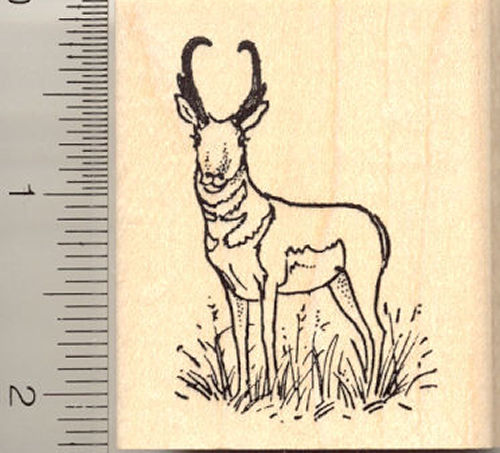 Pronghorn Antelope Rubber Stamp