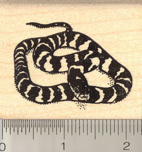 California King Snake Rubber Stamp