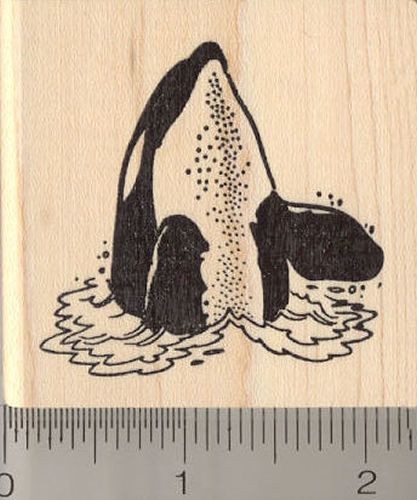 Killer Whale Rubber Stamp