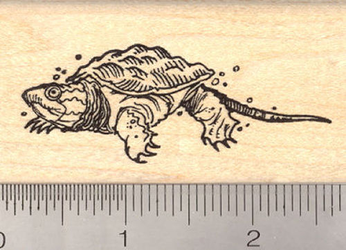 Baby Snapping Turtle Rubber Stamp
