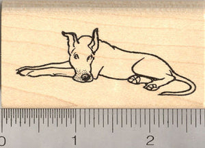 Great Dane Dog Rubber Stamp
