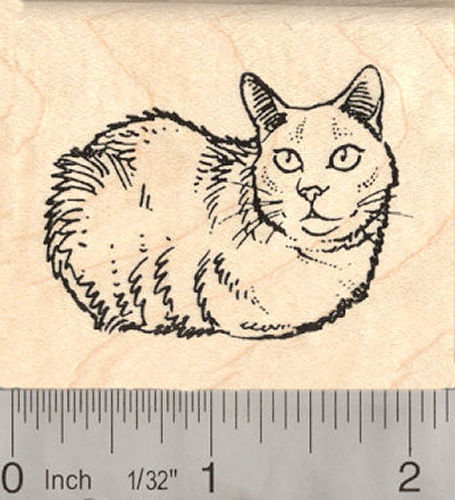 Pretty Kitty Cat Rubber Stamp