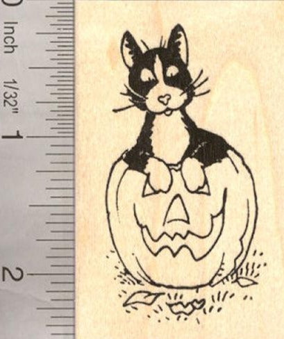 Black and White Cat in Halloween Pumpkin Rubber Stamp