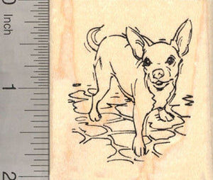 Chihuahua Dog Rubber Stamp